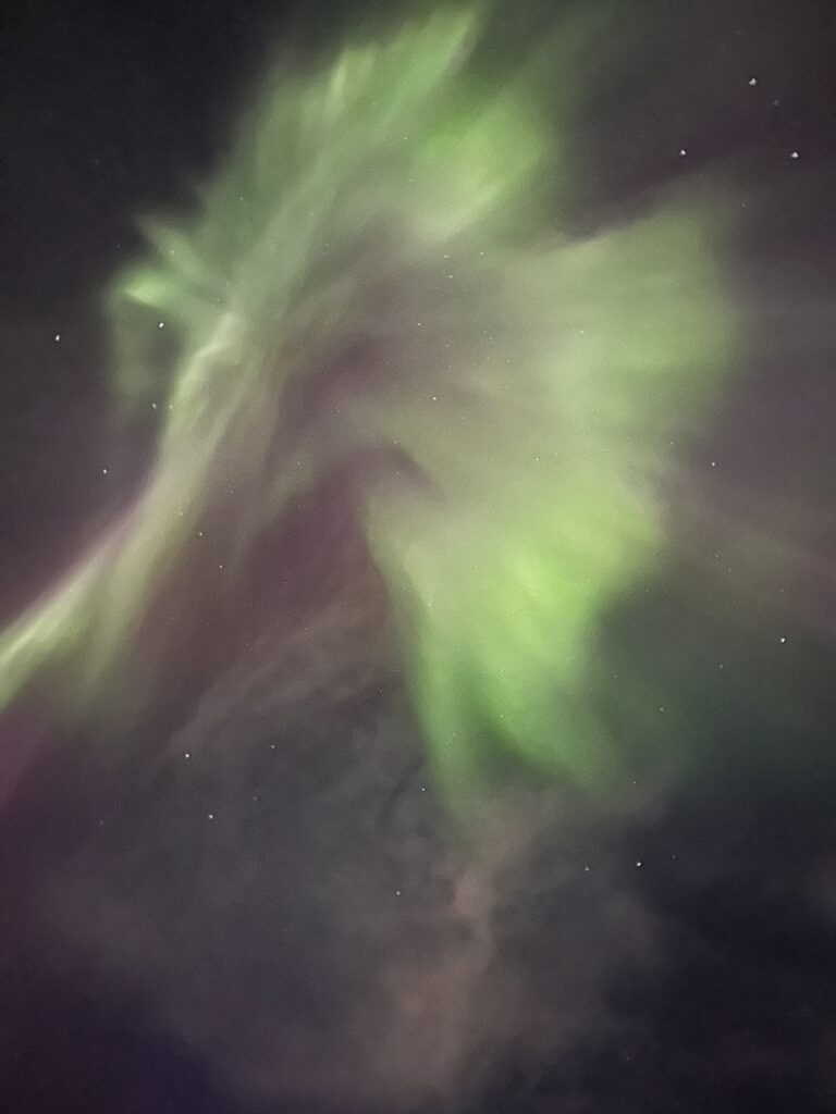 northern lights in the sky