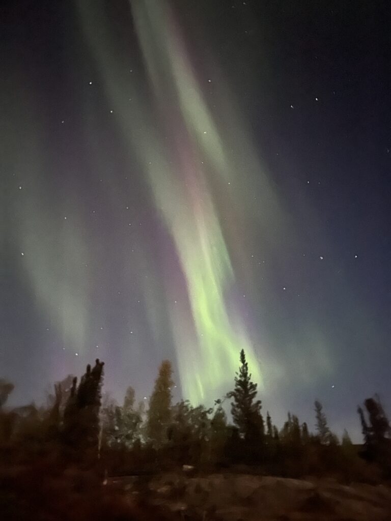 northern lights behind the treeline