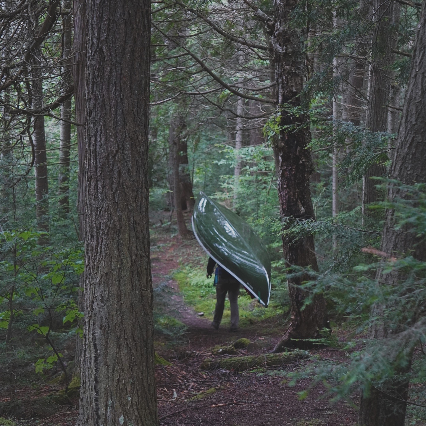 portaging through the backcountry in algonquin park