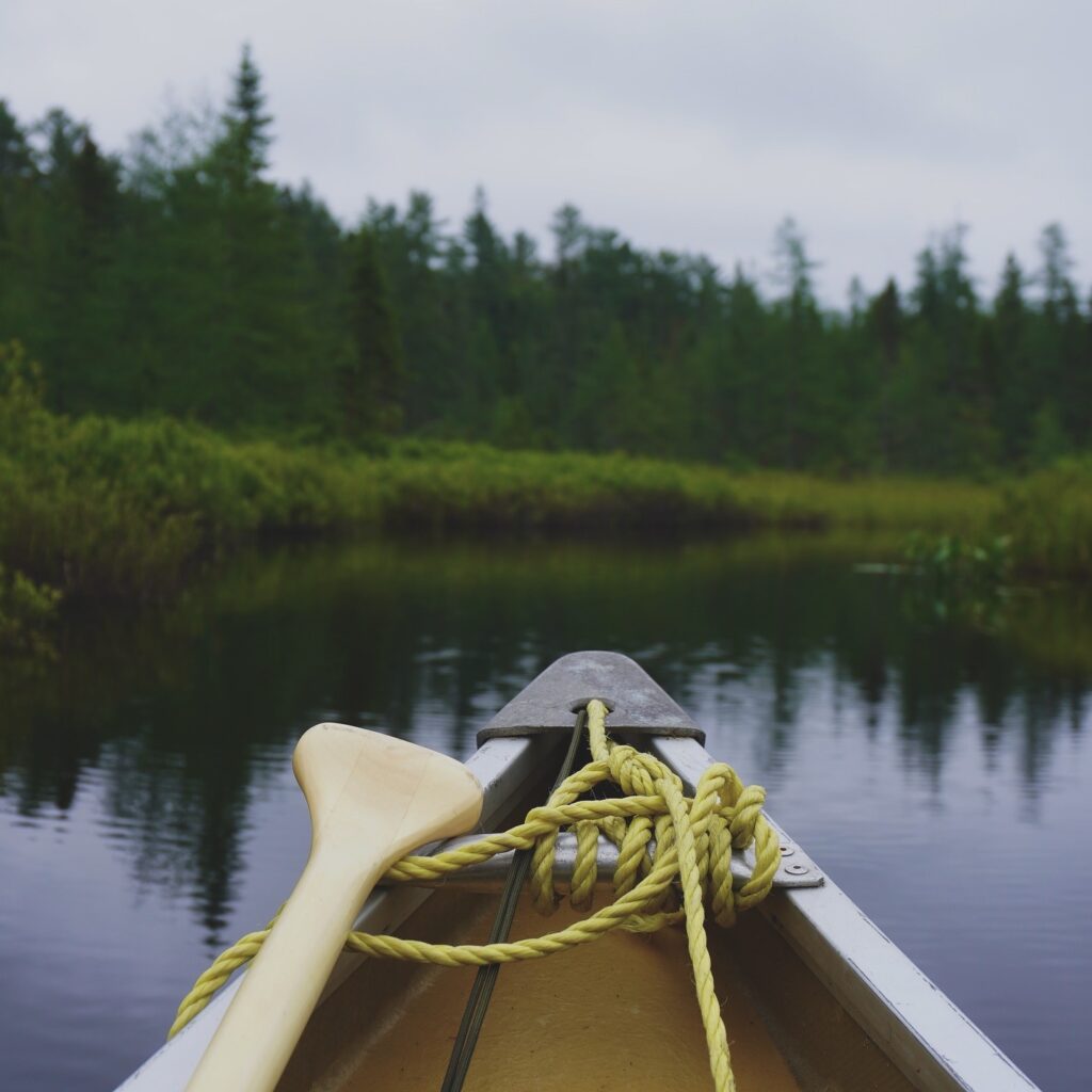 Canoeing down creeks in Algonquin park