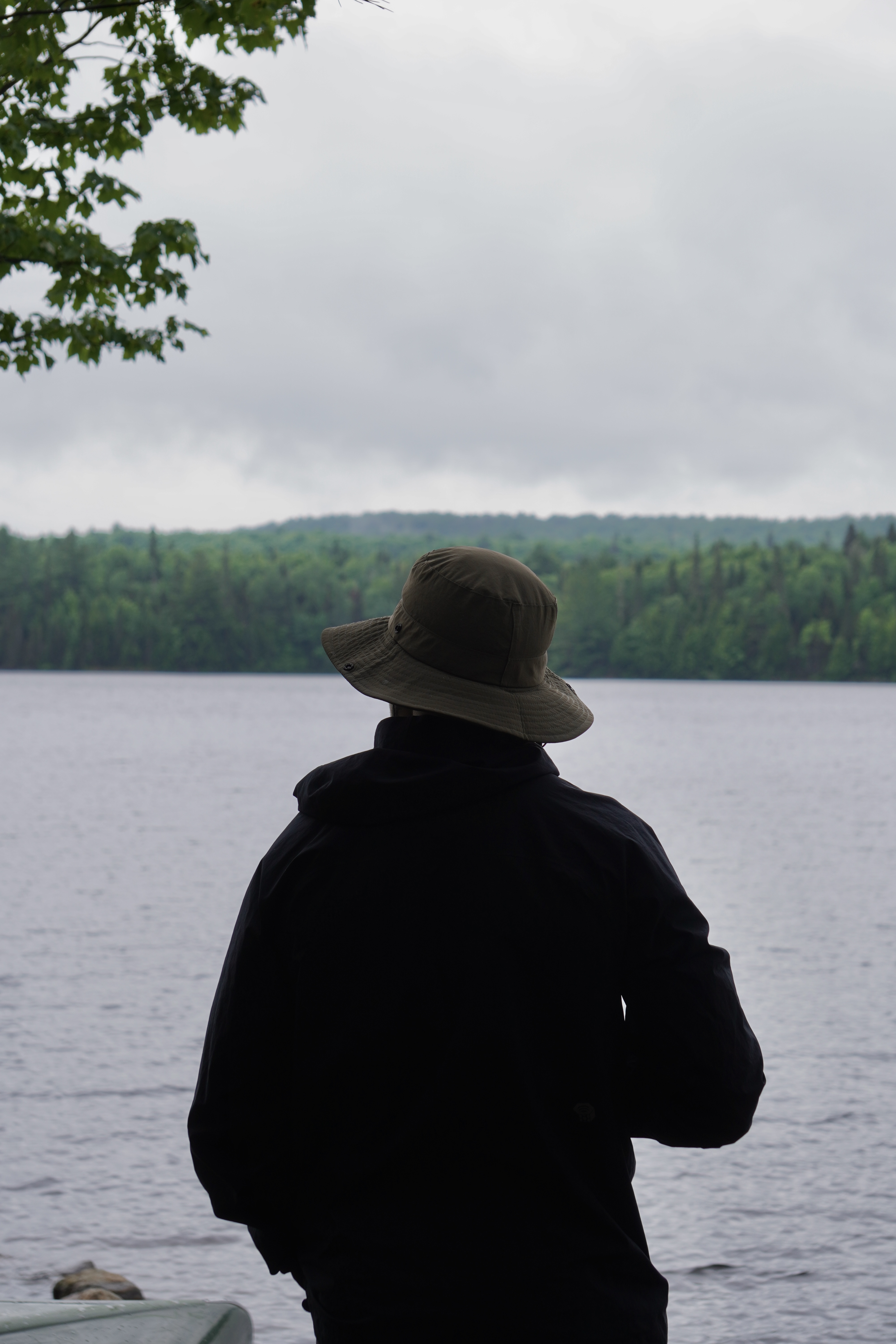 Man overlooking lake in Algonquin park