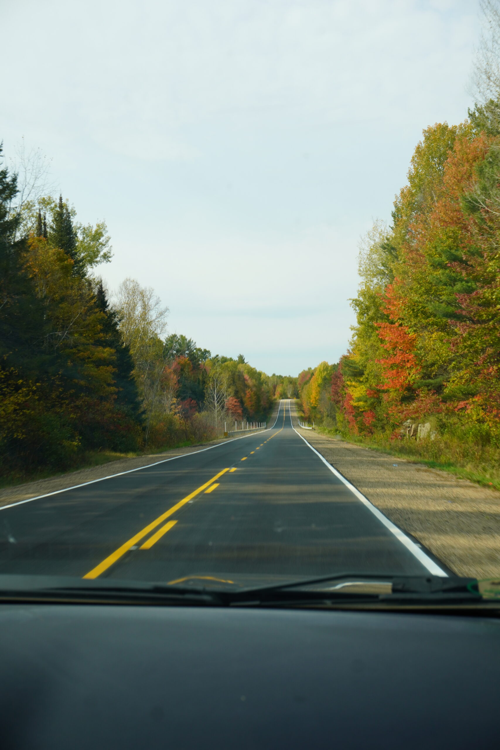 fall colours on a drive