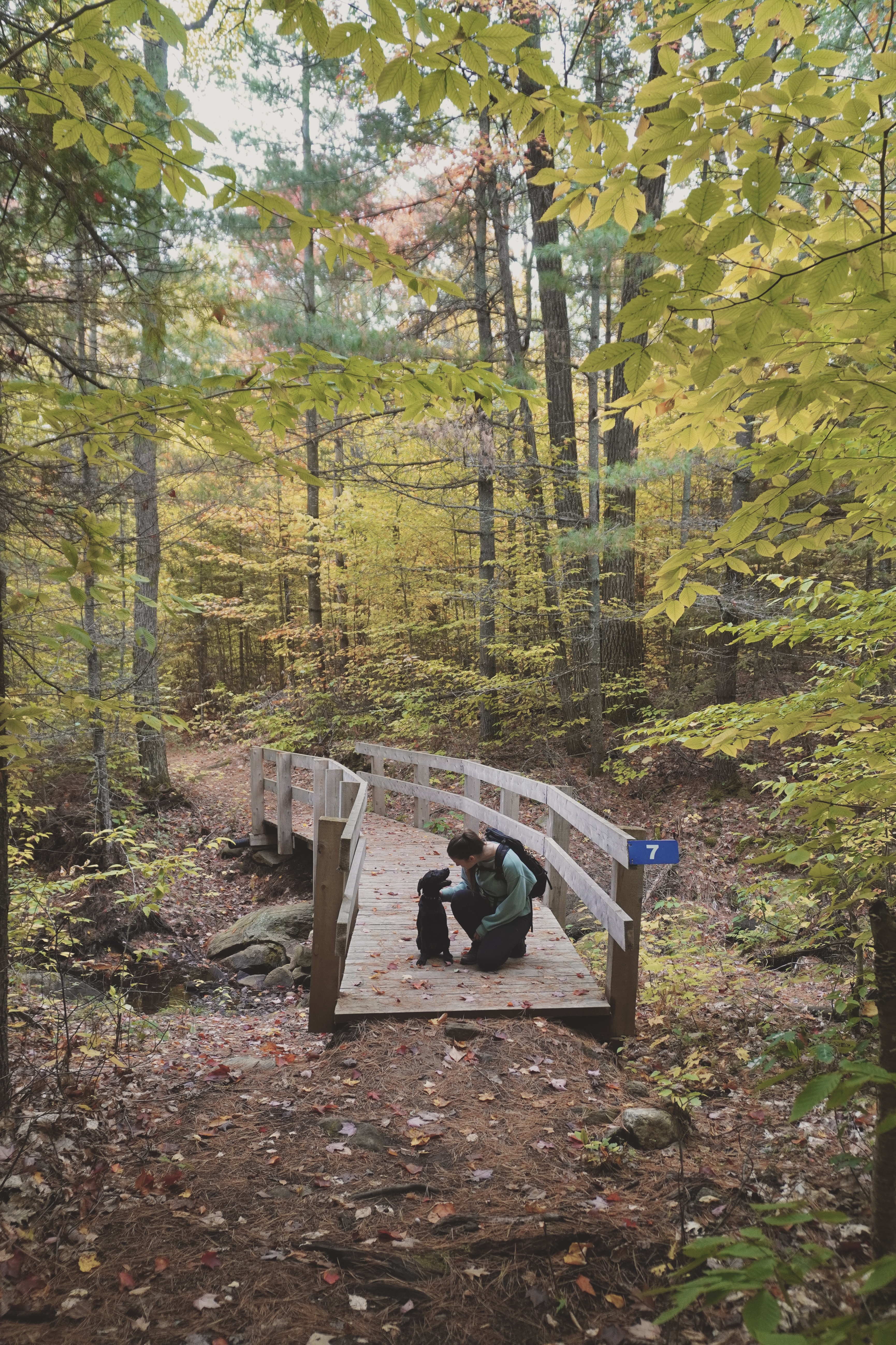 woman and her dog kneeling on a bridge surrounded by fall colours