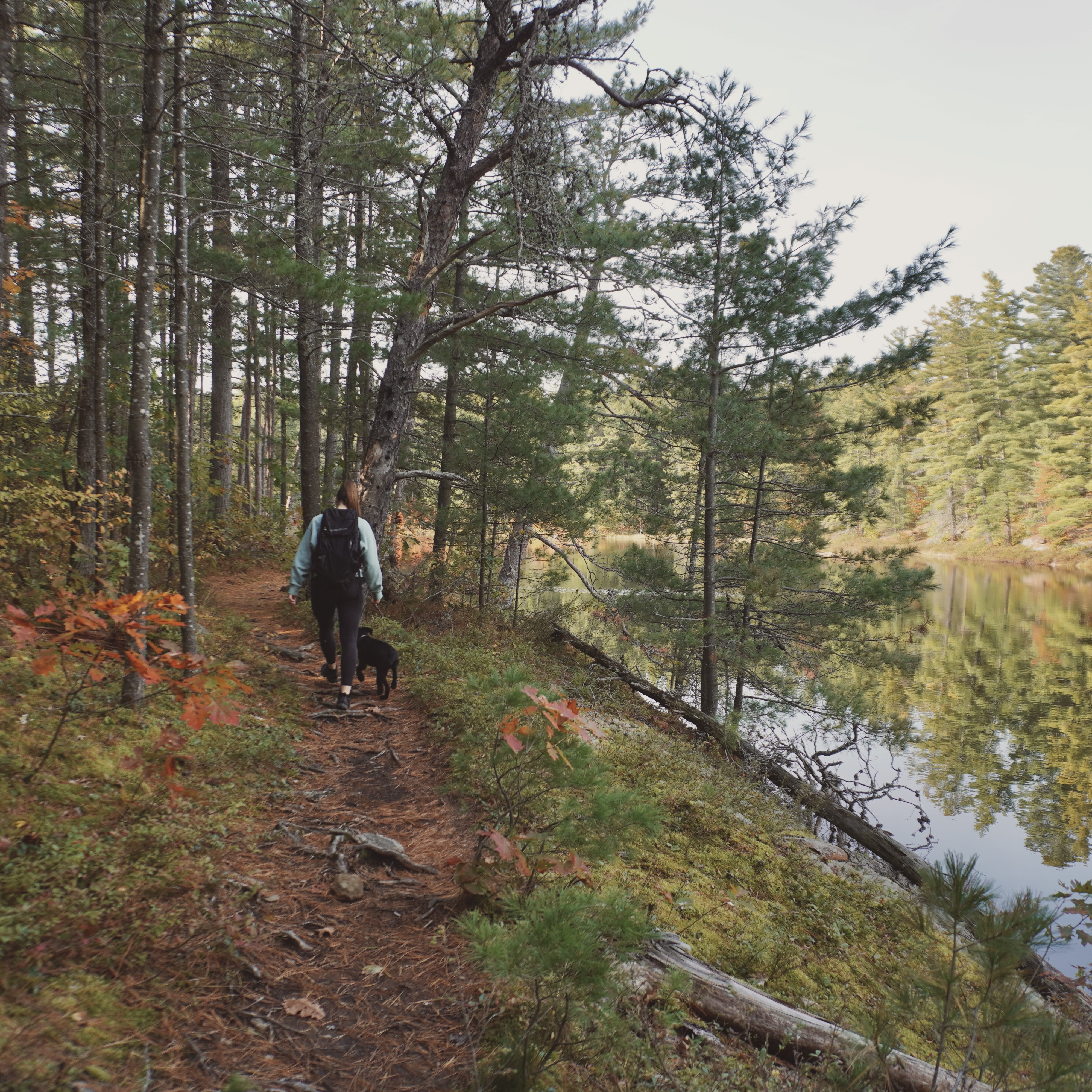 walking along a path with a lake to the right