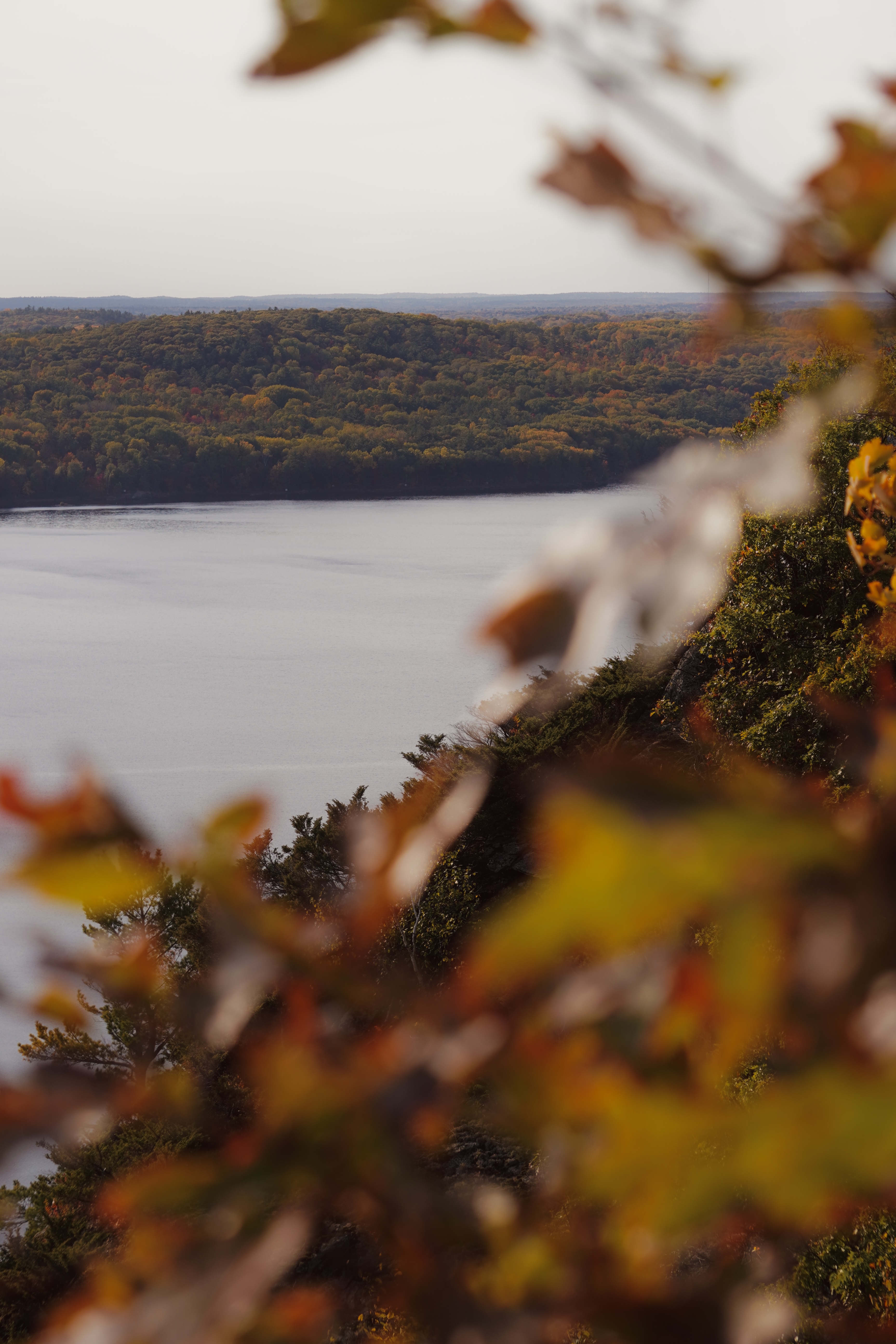 fall views with leaves from a summit viewpoint over a river